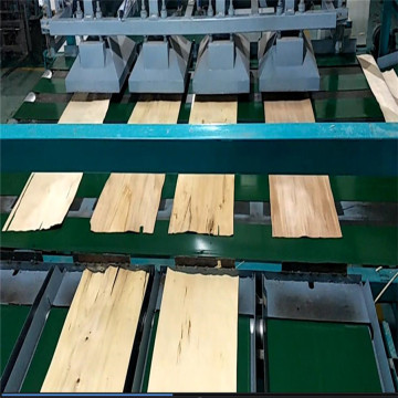 Automatic Plywood Veneer Drying Machine