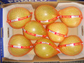 pomelo frais de fujian avec boîte ouverte