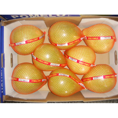 fujian buah pomelo segar dengan kotak terbuka