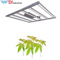 Horticulture Dimmable Samsung Led Plant Grow Light
