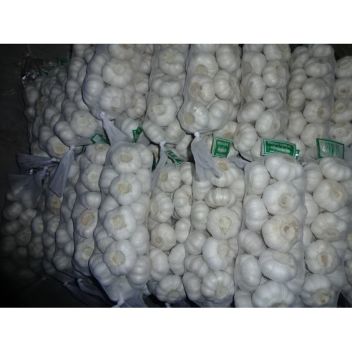 Bolsa Pure White Garlic 2020 1Kg