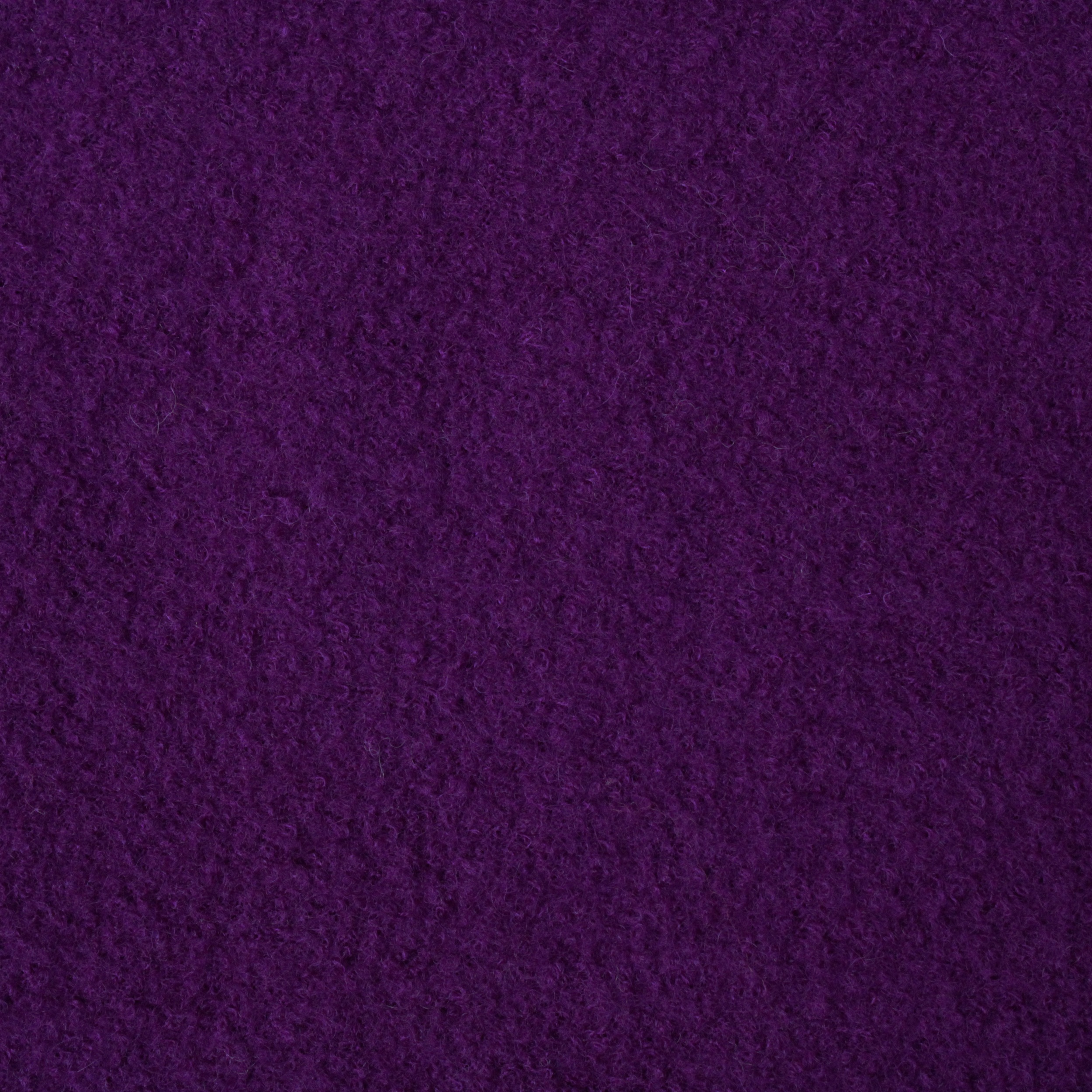 boiled wool