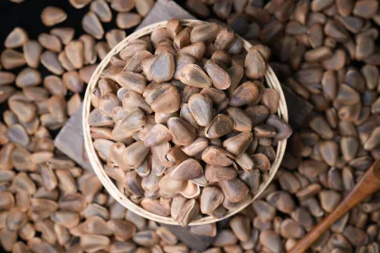 Roasted Delicious Pine Nuts