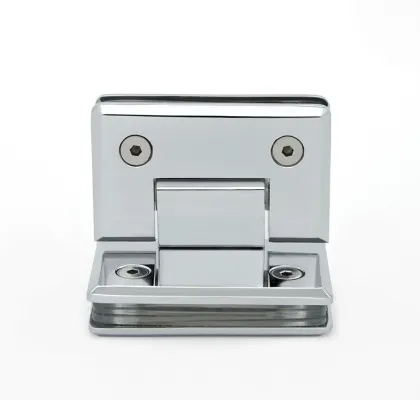 shower door came off hinge leak