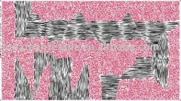 girl's bikini fabric