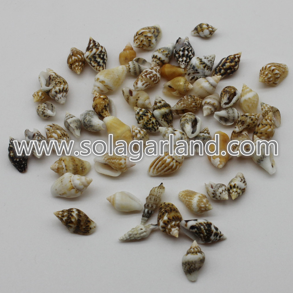 Tiny Natural Spiral Sea Shell Beads Charms