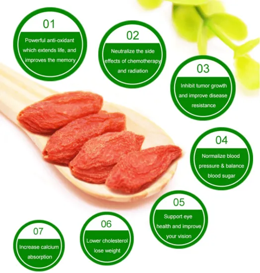 Top quality lycium wolfberry goji 2018