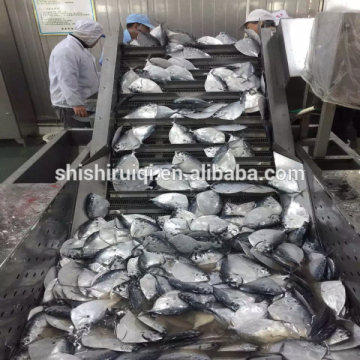 whole round moonfish frozen mene maculata