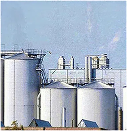 High Purity Vanilla Bean Extract For Food Additive