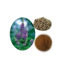 Chasteberry Extract Powder Agnuside 10:1 0.5%2%