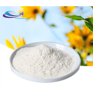 Natural inulin halal jerusalem artichoke extract