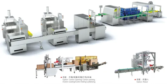 Multi -Lane 4 Sides Sealed Sachet Packing Machine