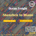 Container Sea Freight from Shenzhen to Miami