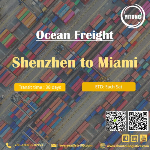 Shenzhen에서 Miami까지 컨테이너 Sea Freight