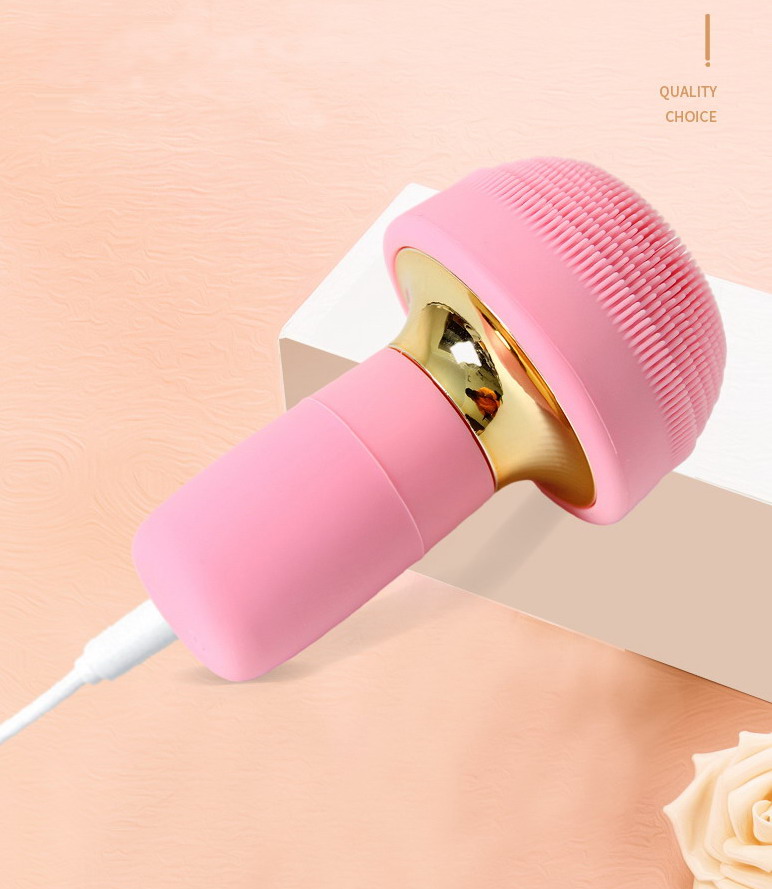 electric cleansing brush