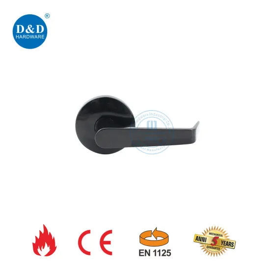 Standard Stainless Steel Lever Trim for Double Door