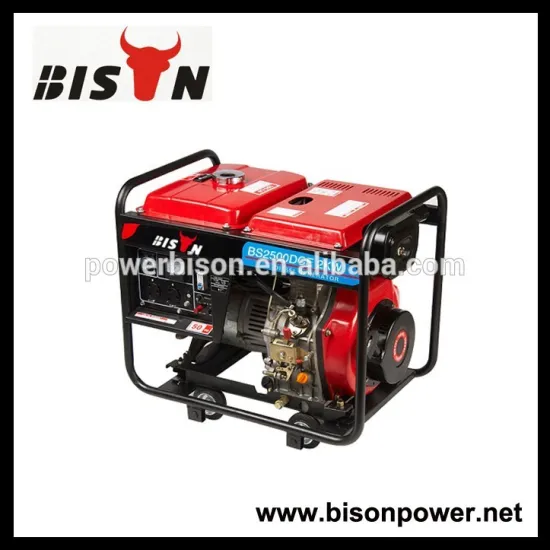BISON(CHINA) Small Mini Low Rpm Generator