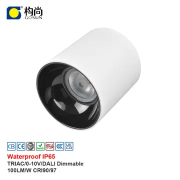 Flicker-Free IP65 Waterproof LED Suspended Pendent and Surface Mounted Downlight