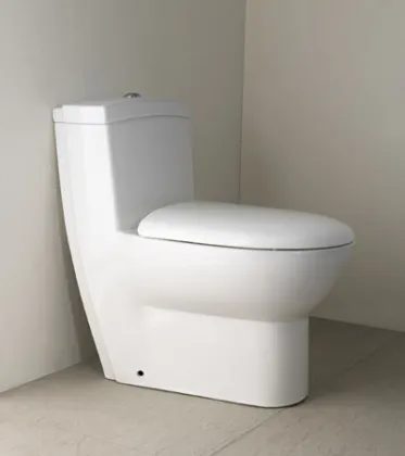 integral toilet