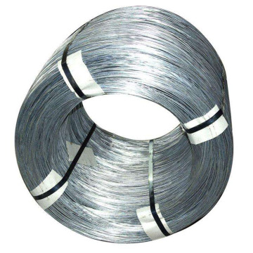 Selling 304 Fine Stainless Steel Wire and 316 Stainless Steel Wire Rope