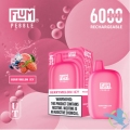 flum pebble vape 6000puffs