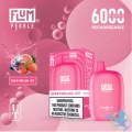 FLUM PEBBLE vape 6000puffs