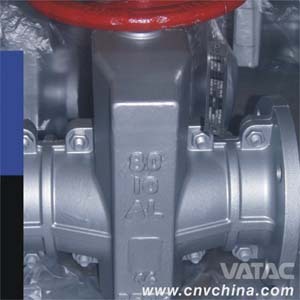 Flanged Cast Iron Pipe Clamping Valve