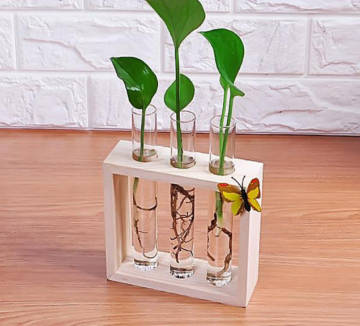 Natural color paulowina wood frame with high borosilicate small glass tube for water plant growing