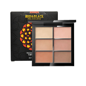 Professional 6 colors concealer palette