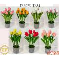 36cm PE Tulip x 10 with plastic Pot