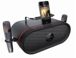 RHM RM-K666 Wireless Outdoor Speakers with Microphone - Karaoke Audio System