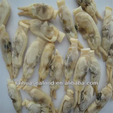 Frozen Cooked Razor Clam Meat