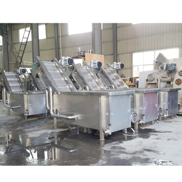 Automatic Conveyor Air Bubble Fruit Washing and Cleaning Machine