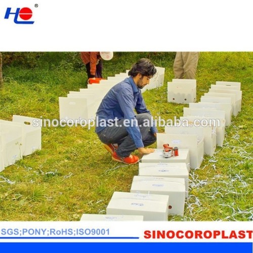 PP Corrugated Vegetable Packing Container