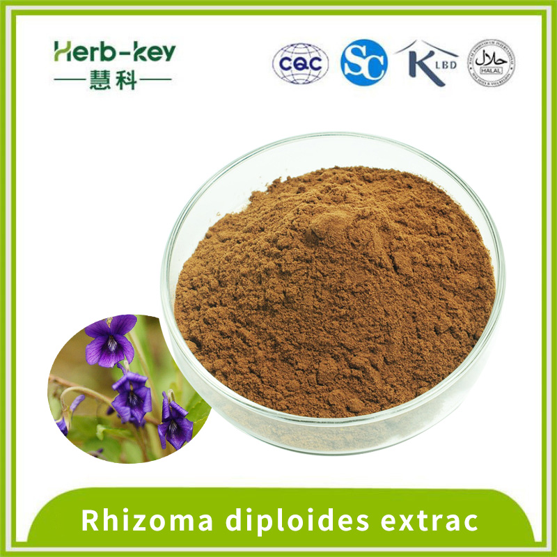 10: 1 con extracto de diploides de rizoma alcaloide