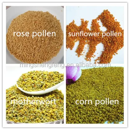 sweet rape bee pollen