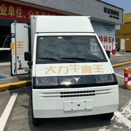 Large space electric van
