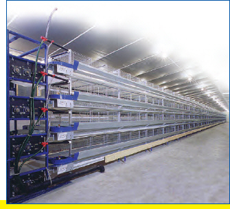 Chicken breeding cage