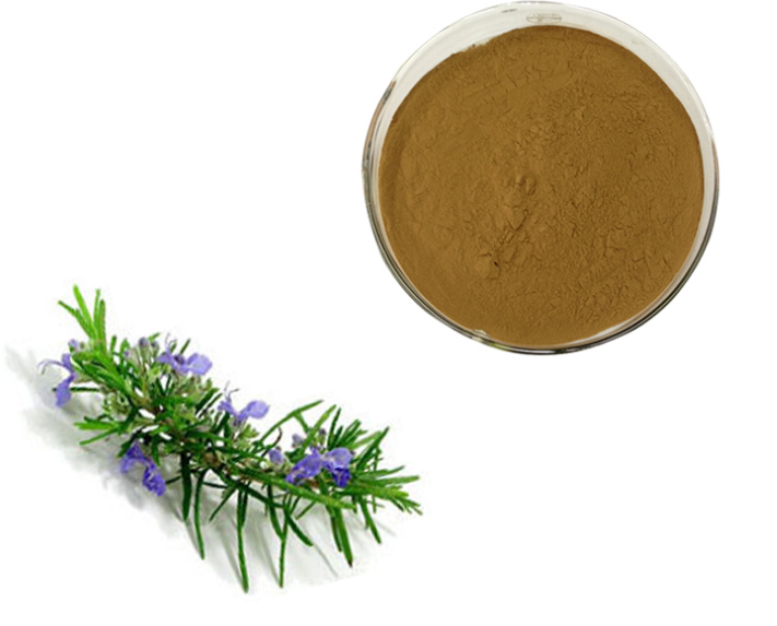 Rosemary Extract Png