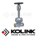 Bellows Seal Gate Valve (Butt-weld End)