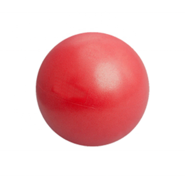 Complete Guide to Pilates Balls, Bars, and Mini Exercise Balls for Fitness and Physical Therapy