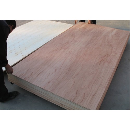 18mm cheap hardwood bintangor plywood