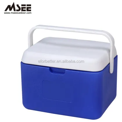 Coolest 5L Insulation Plastic Cooler Box