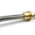 Stainless steel lead screw with brass nut