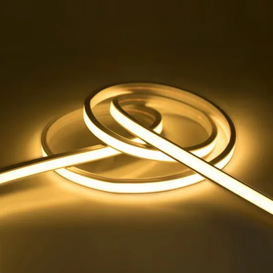 High Brightness 5V 12V 24V RGB RGBW IP65 Flexible LED Neon Strip Light