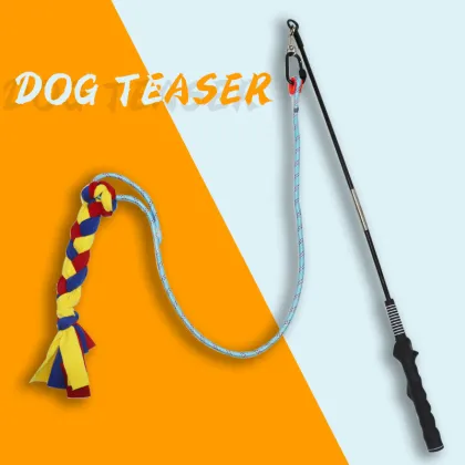 Interactive Pet Training Tools: Dog Teaser Poles, Cat Teasers & Training Wands