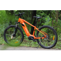 Mountain Electric Dirt Bike With Pedals