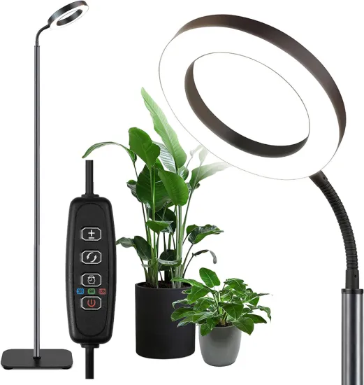 Angle Ring LED Plant Grow Light with Sand Black Iron Base: 10 Dimmable Levels and 3/9/12H Timer for Natural Light Halo Ring Growing
