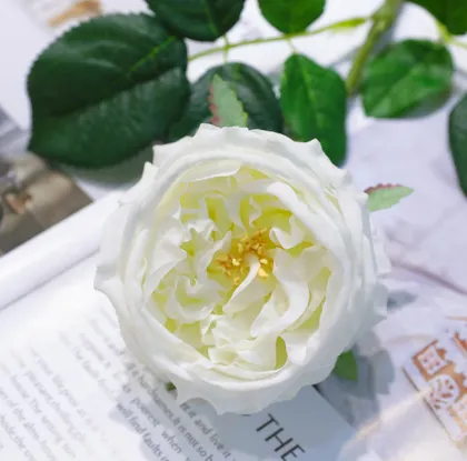 Hot Sale Summer Flowers: Artificial Austin Roses for Wedding Decor