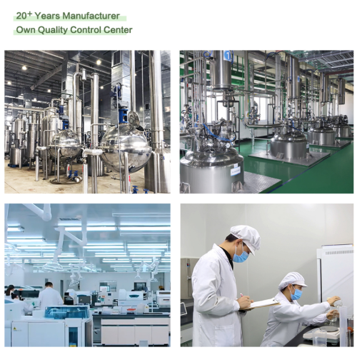 Манго екстракт за ефикасно смањење липида у крви